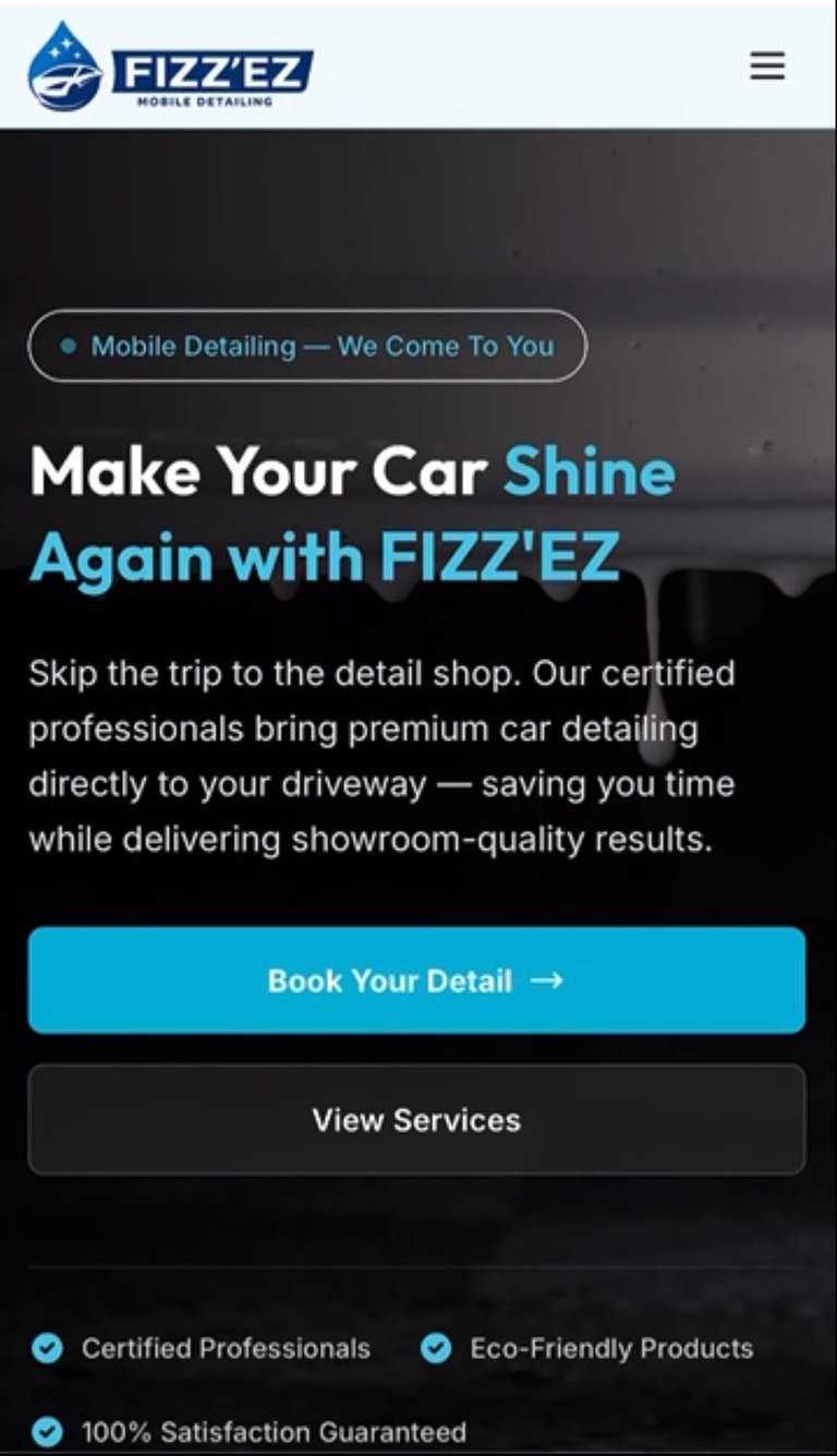 Fizzez mobile detailing website hero section with logo, headline Make Your Car Shine Again, description of services, and booking buttons